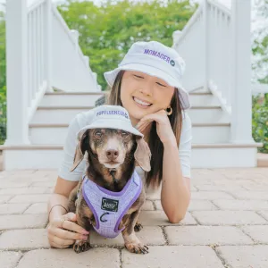 Bucket Hat Bundle - Momager   Pupfluencer