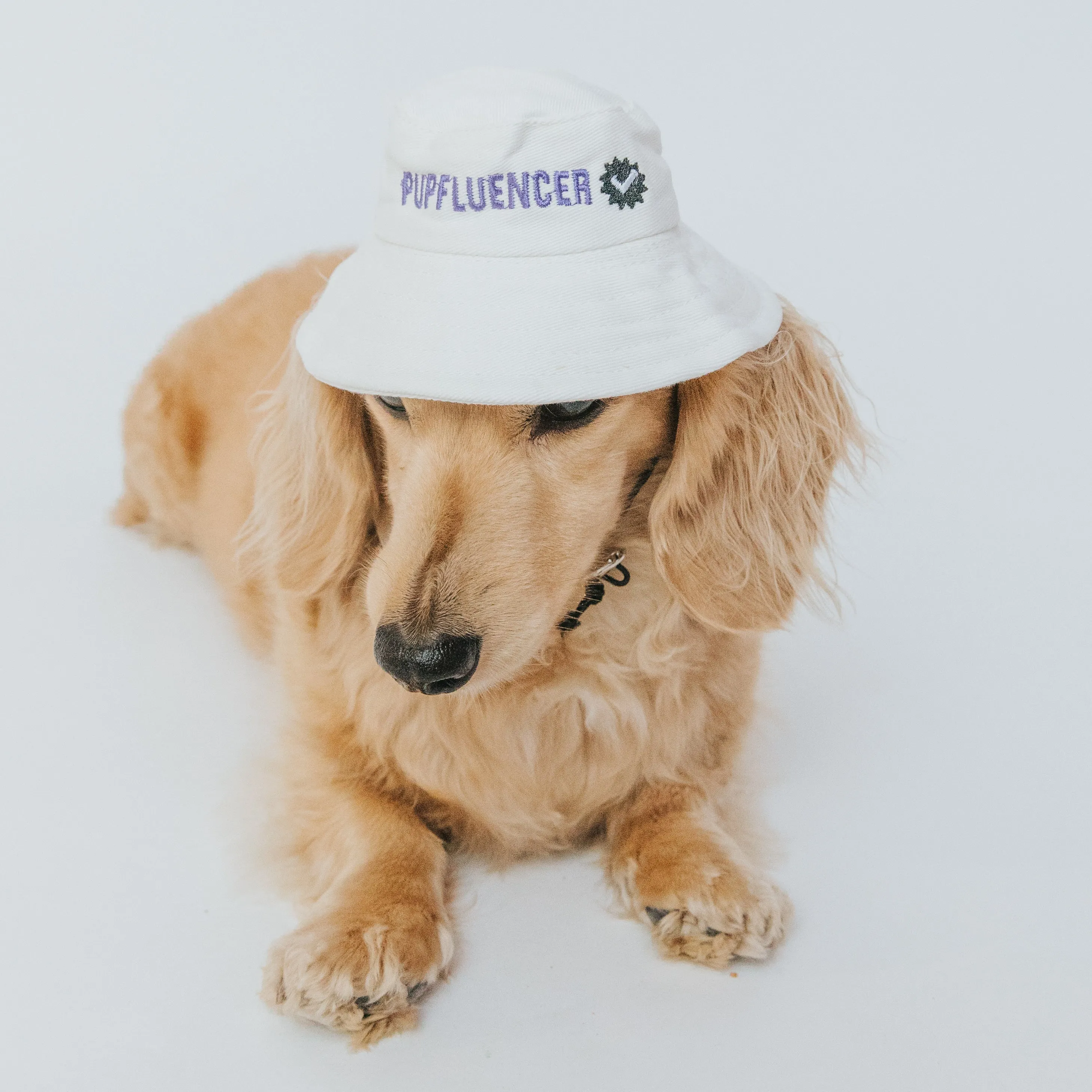 Bucket Hat Bundle - Momager   Pupfluencer