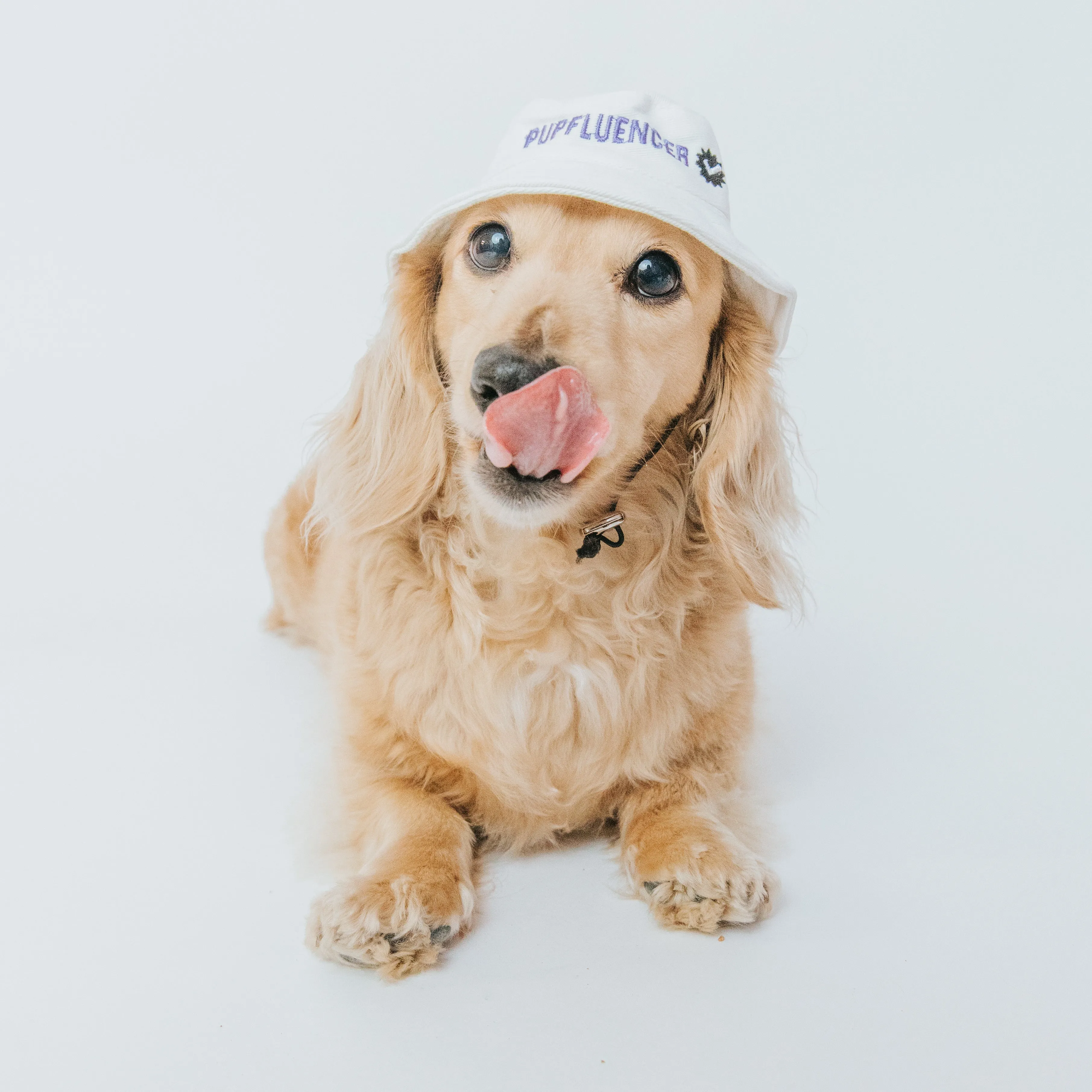 Bucket Hat Bundle - Momager   Pupfluencer
