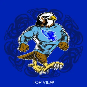 HARLAN FALCONS  BUCKET HAT